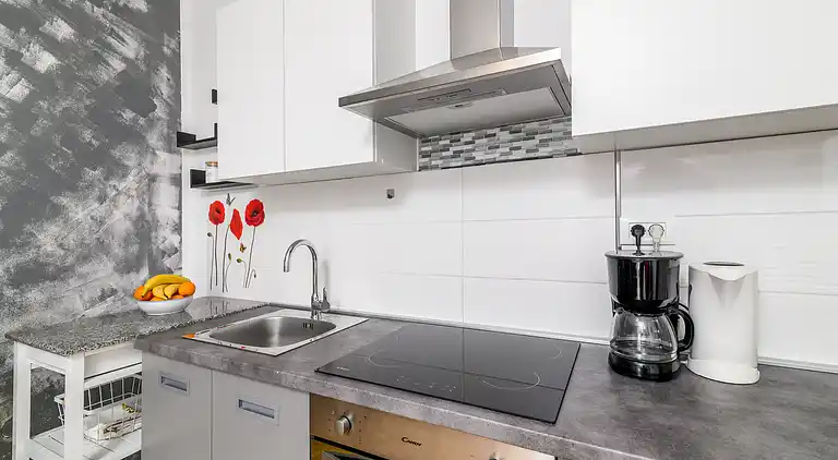 2-Zimmer-Ferienwohnung mit Terrasse Rovinj (A-19088-b)