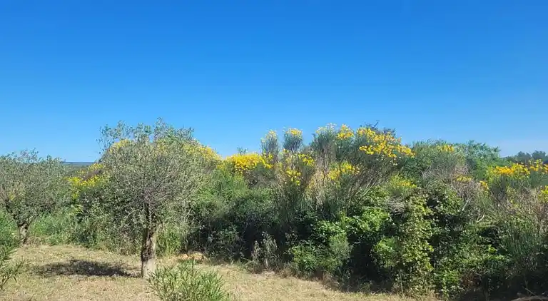 Villa in Languedoc-Roussillon