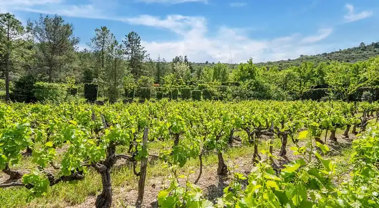 Holiday home in Naves