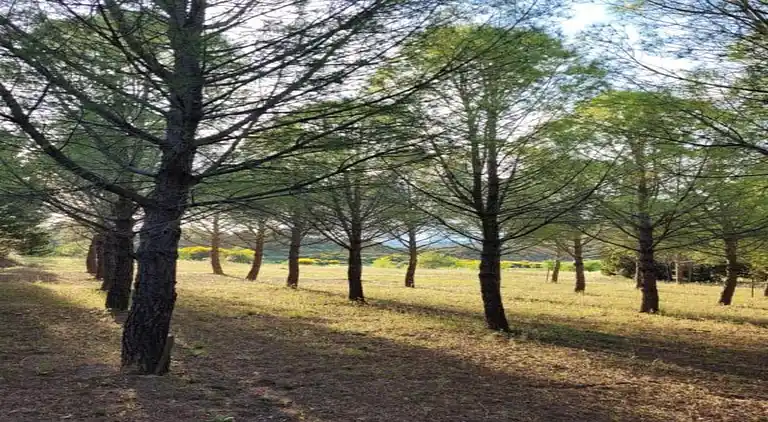 Semesterbostad i Occitanien