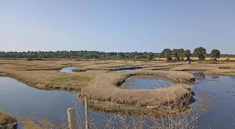 Casa de vacaciones en Avrillé