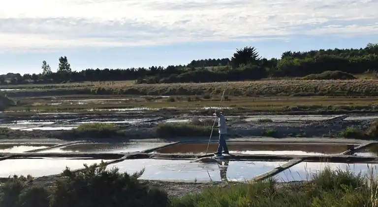 Casa de vacaciones en Avrillé