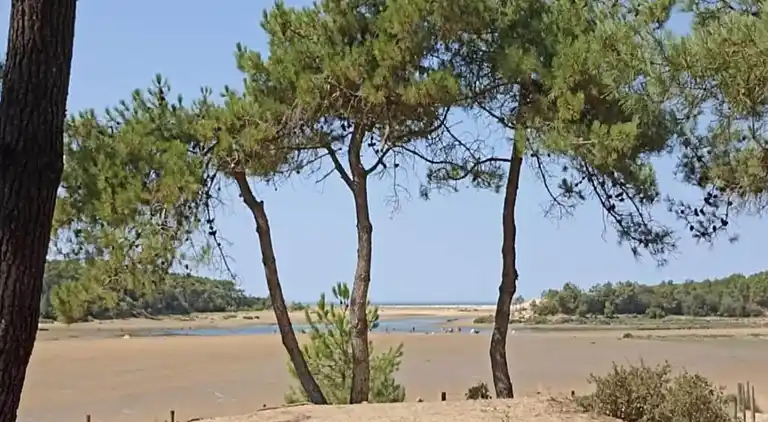 Casa de vacaciones en Avrillé