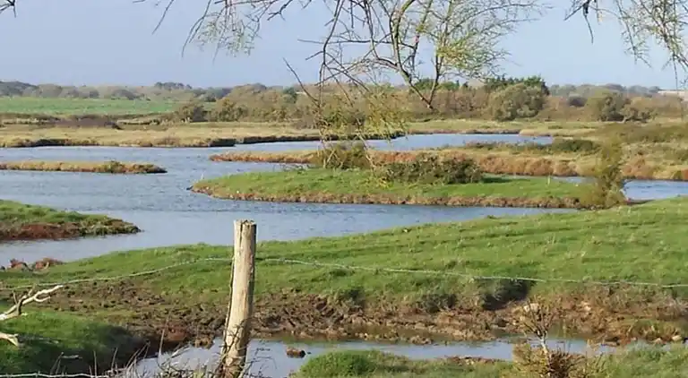 Casa de vacaciones en Avrillé