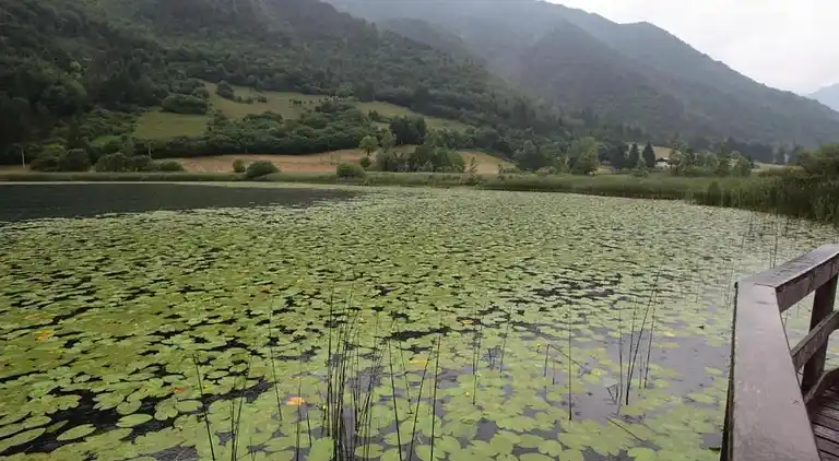 Vakantiehuis in Molina di Ledro
