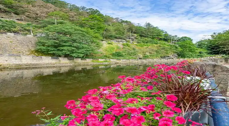 Sommerhus i La Roche-en-Ardenne