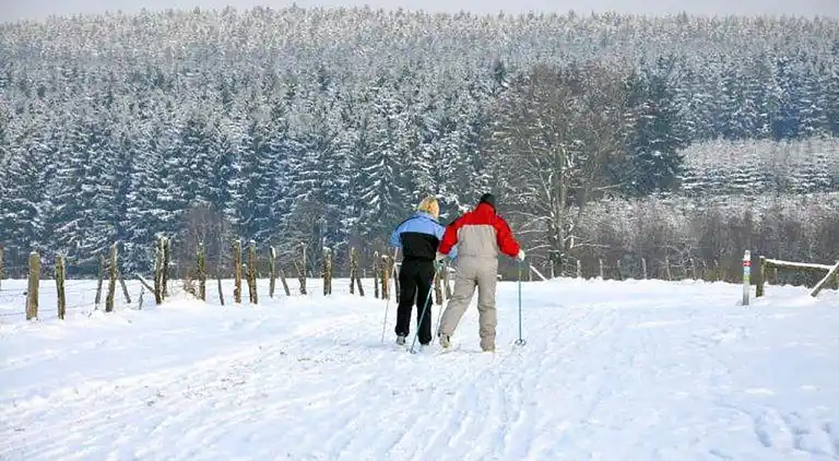 Sommerhus i La Roche-en-Ardenne