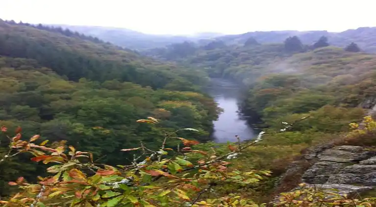 Holiday home in La Roche-en-Ardenne
