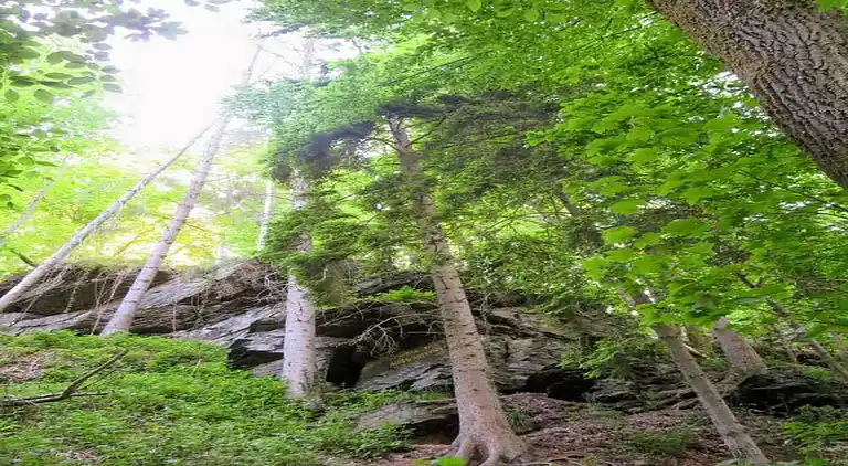 Sommerhus i La Roche-en-Ardenne