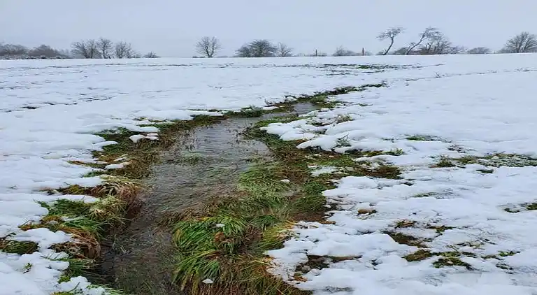 Sommerhus i La Roche-en-Ardenne