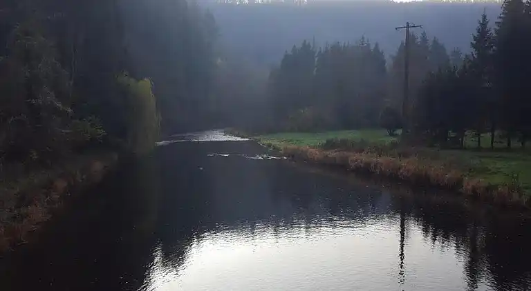 Sommerhus i La Roche-en-Ardenne