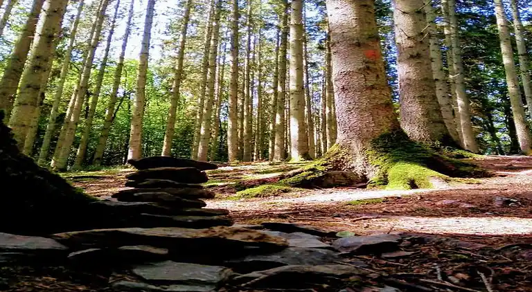 Sommerhus i La Roche-en-Ardenne