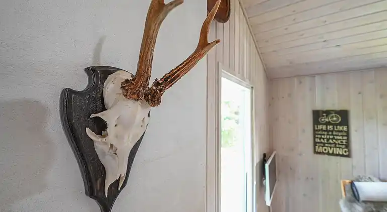 vakantiehuis in Nørre Fjand