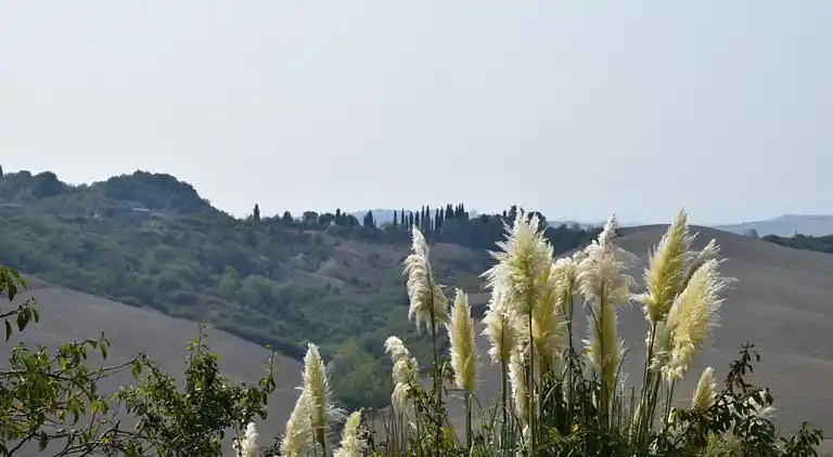 Casa rural en Castelnuovo Berardenga