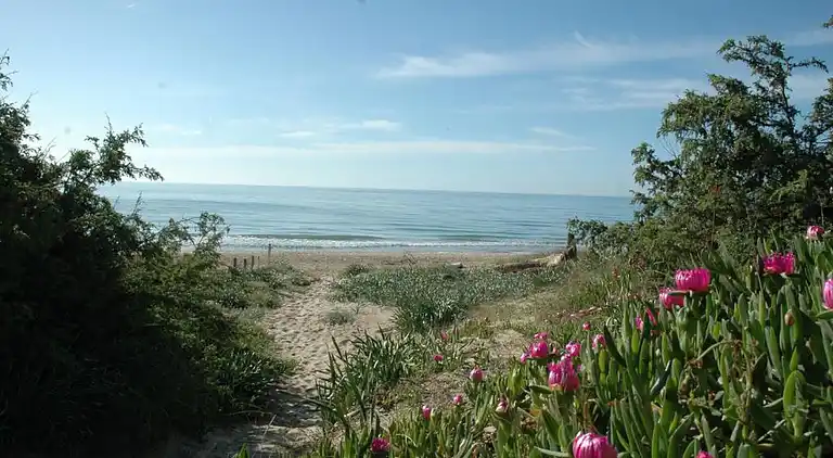 Apartment in Castellaneta