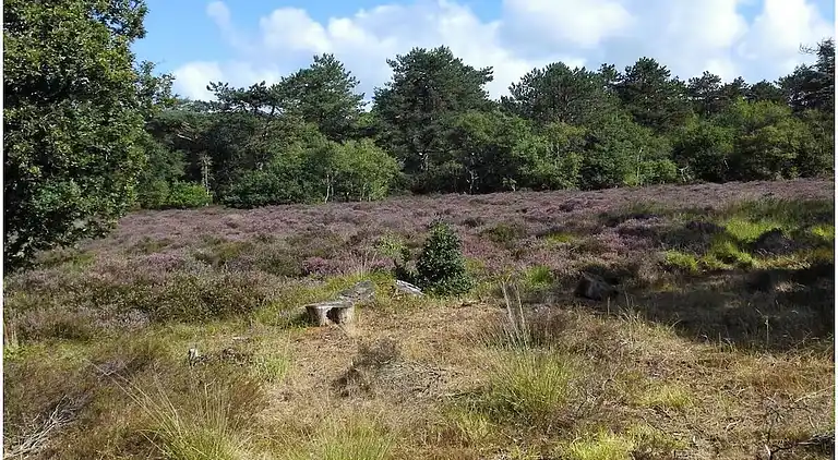 Vakantiehuis in Bergen aan Zee