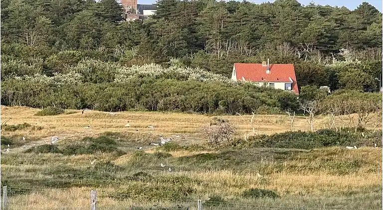 Vakantiehuis in Bergen aan Zee