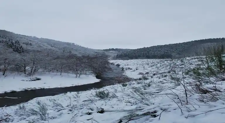 Holiday home in Houffalize