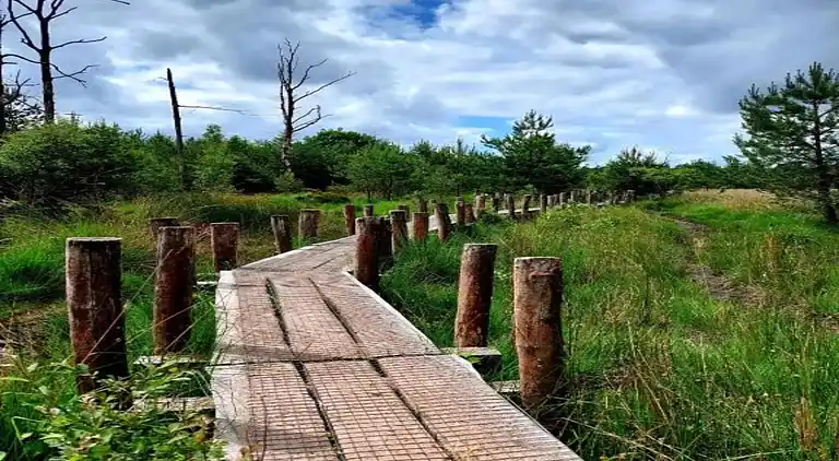 Bungalow in Dwingeloo