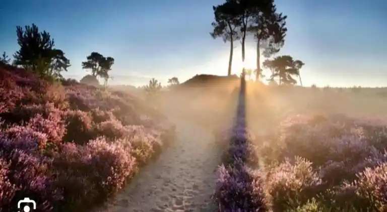 Bungalow i Dwingeloo