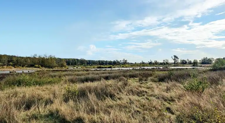 Bungalow in Dwingeloo