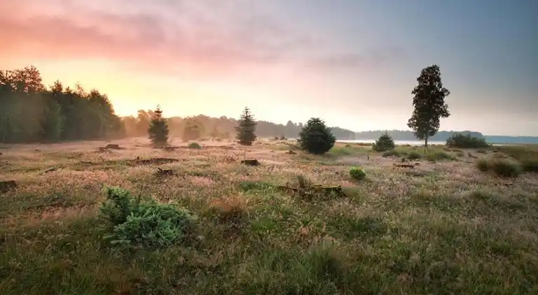 Bungalow in Dwingeloo
