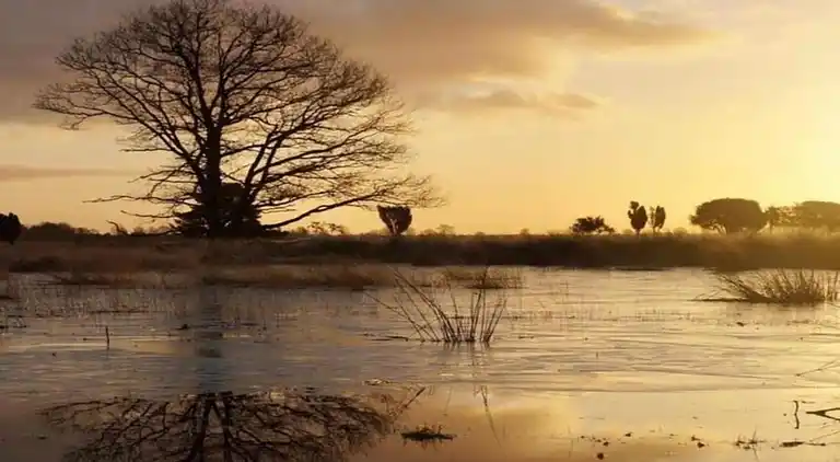 Bungalow i Dwingeloo