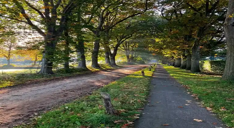 Bungalow i Dwingeloo