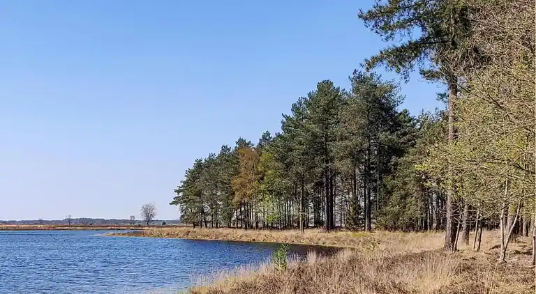Bungalow in Dwingeloo