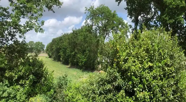 Bungalow in Dwingeloo