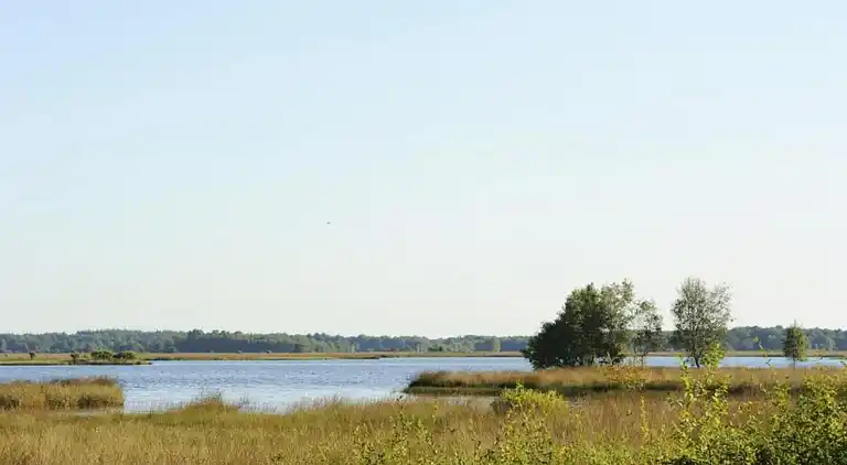 Bungalow in Dwingeloo