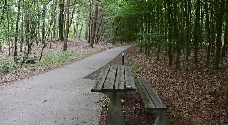 Bungalow i Dwingeloo