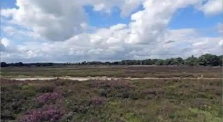 Bungalow i Dwingeloo