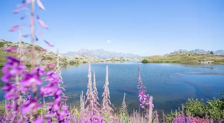 Hytte i Villard-Reculas