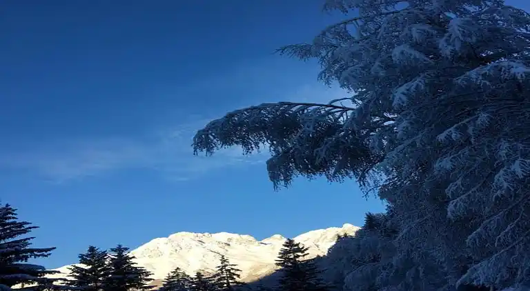 Hytte i Villard-Reculas