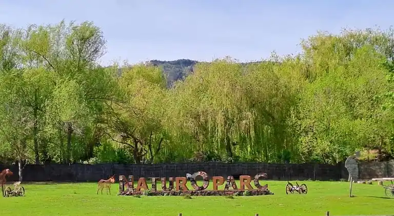 Apartment in Bergheim