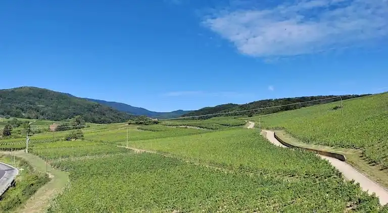 Ferielejlighed i Bergheim