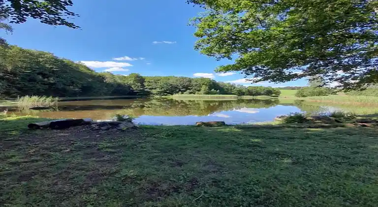 Holiday home in Faucogney-et-la-Mer