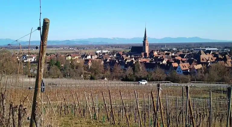 Ferielejlighed i Bergheim