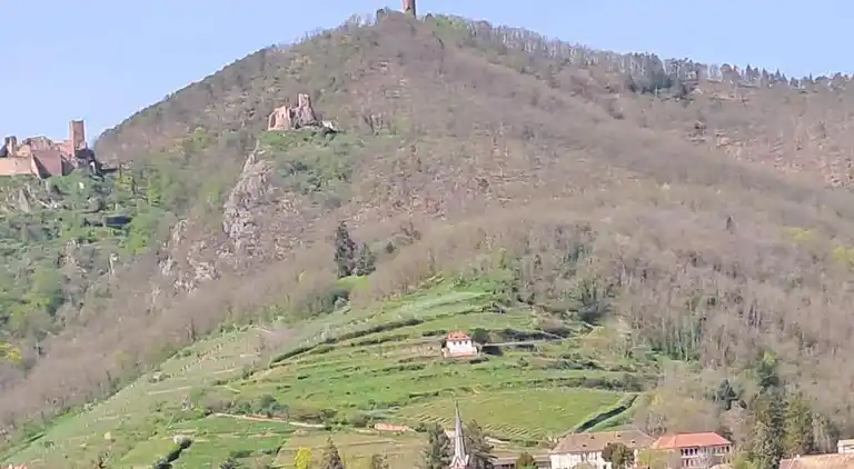 Ferielejlighed i Bergheim