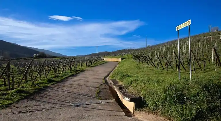 Ferielejlighed i Bergheim