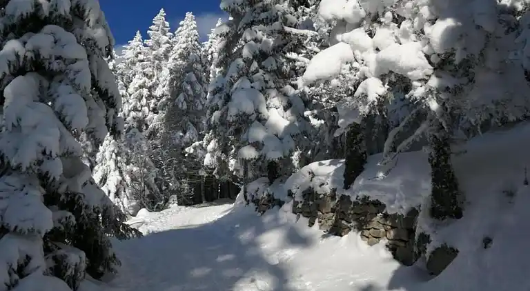 Apartment in Bergheim