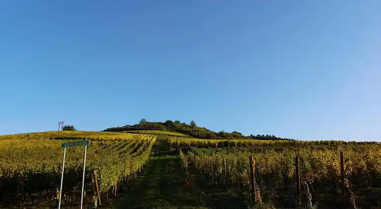 Apartment in Bergheim