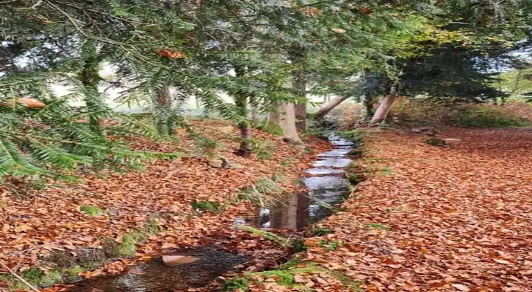 Holiday home in Faucogney-et-la-Mer