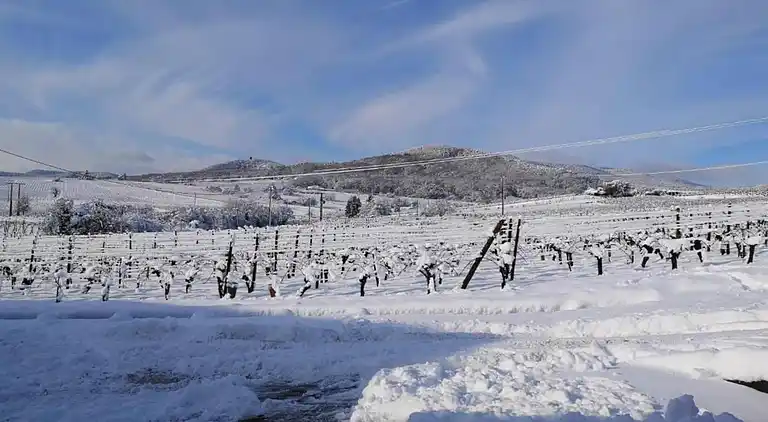 Ferielejlighed i Bergheim