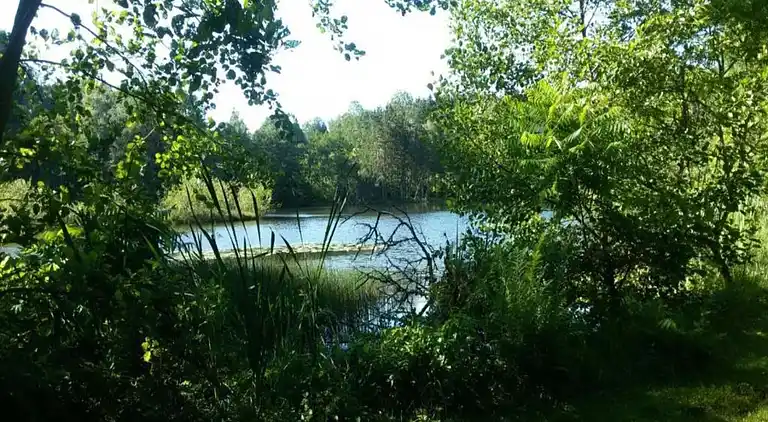 Holiday home in Faucogney-et-la-Mer