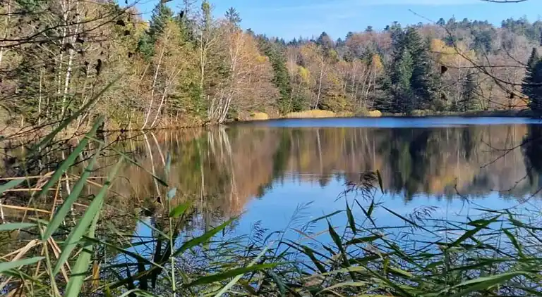 Holiday home in Faucogney-et-la-Mer
