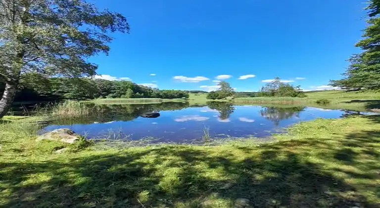 Holiday home in Faucogney-et-la-Mer