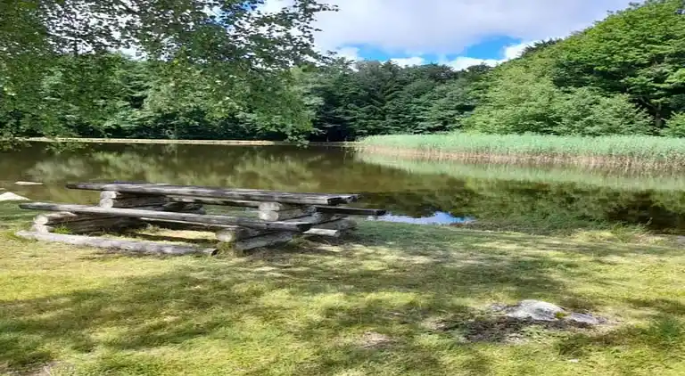 Holiday home in Faucogney-et-la-Mer