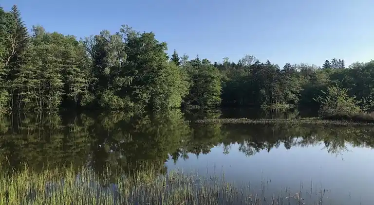 Holiday home in Faucogney-et-la-Mer